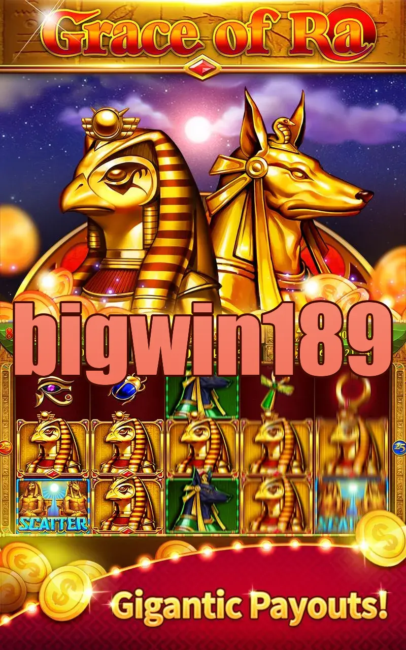 bigwin189 APK